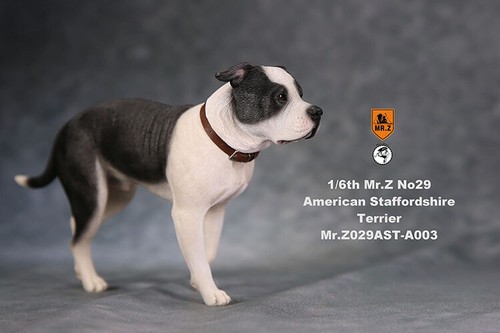 Statua in resina cane Mr.z scala 1/6 NO29 American Staffordshire Terrier IN MAGAZZINO - Foto 18 di 28