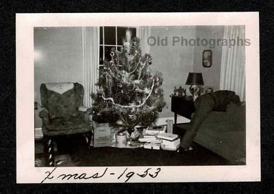 GREAT HIDDEN MAN BACKSIDE 2 CAMERA XMAS TREE 1953 OLD/VINTAGE PHOTO ...