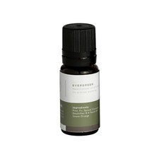 Mr Steam AromaSteam Evergreen Essential Oil 10mL