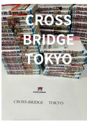 ONE PIECE Manga Vol. 1-110 Full Set Japanese Edition | Fast 24