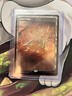 MAGIC THE GATHERING URZA'S SAGA FOIL STORE CHAMPIONSHIP PROMO BLOOMBURROW
