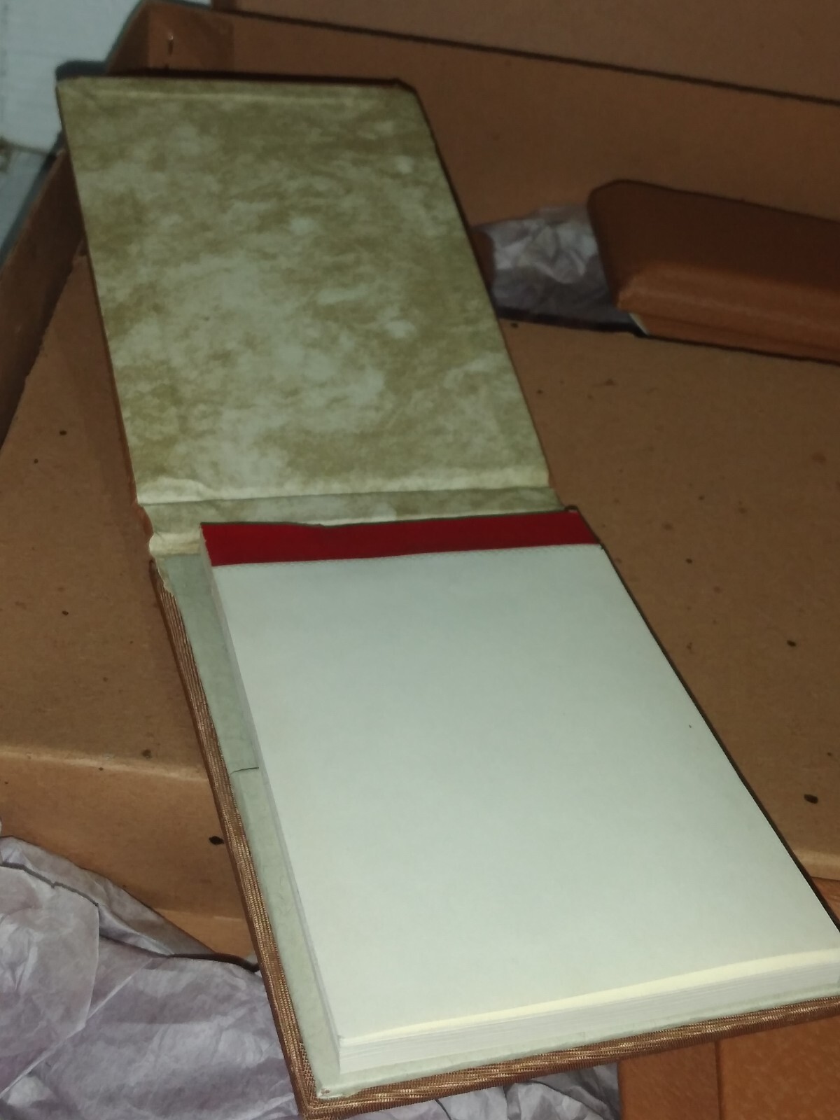 Foto 13 di 21