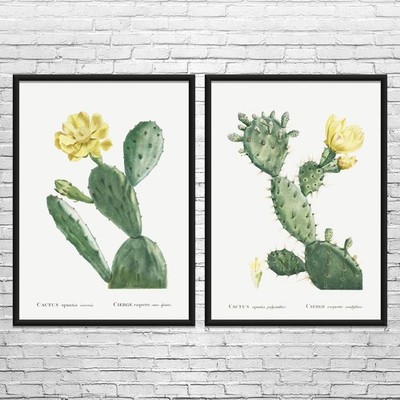 Prickly Pear Cactus Botanical Art Prints Set of 2 Poster, Canvas or Framed