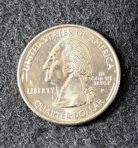 2004 P Florida  State Quarter Circulated Free Shipping - Picture 2 of 2