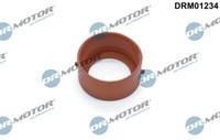 Dr. Motor Automobil DRM01234 Dichtungsring, Turbo-Luftschlauch FüR Volvo