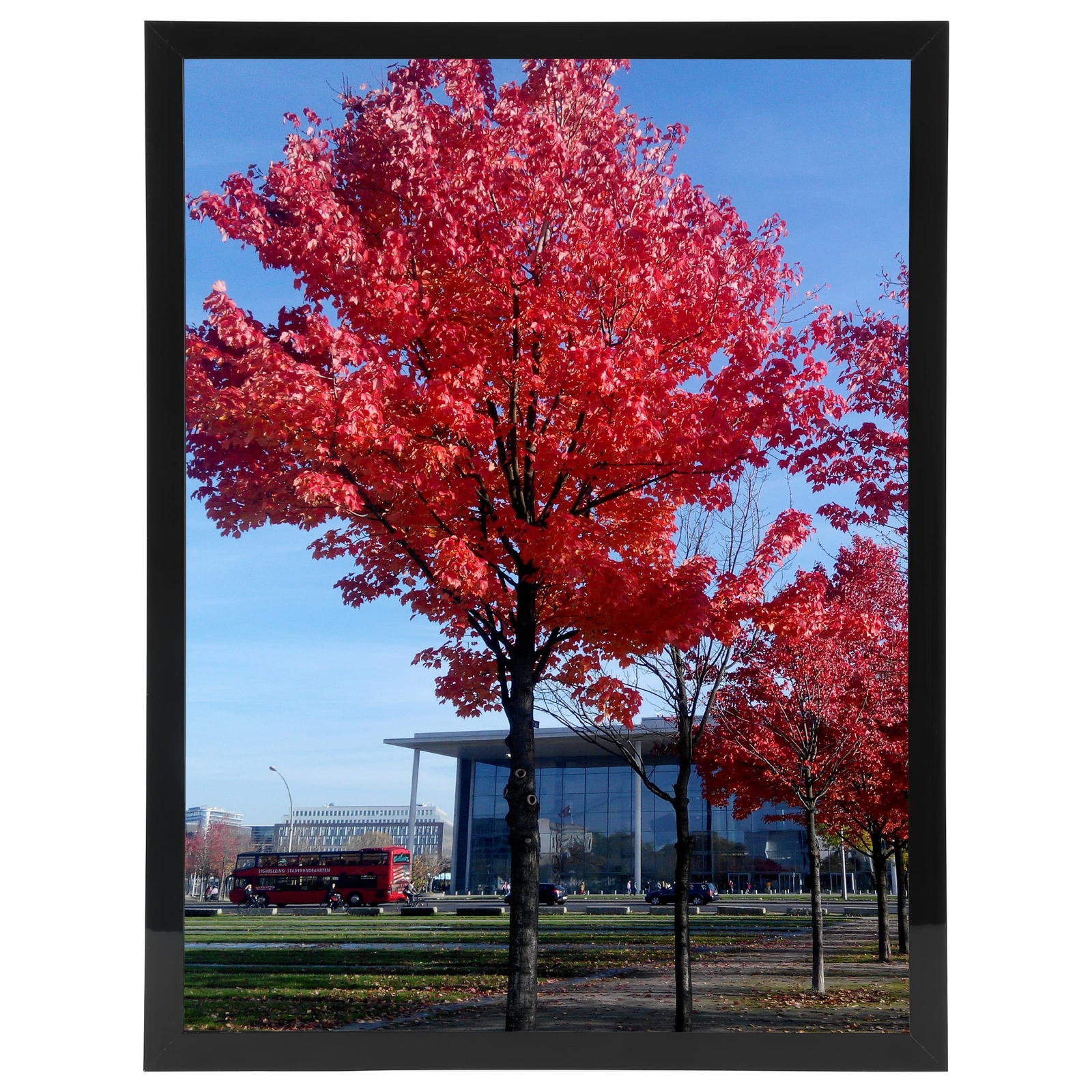 8x10 Picture Frame Black, Display Pictures 8x10 Document Certificate Frames W...