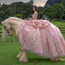 Pink Tulle Quinceanera Dresses Sleeveless Gold Lace Applique Ball Gown Sweet 15