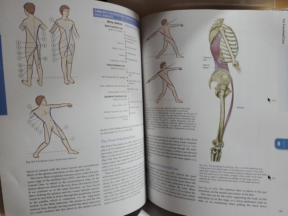 Anatomy Trains 3rd Ed + Investigating the Human Body 2 Book Lot