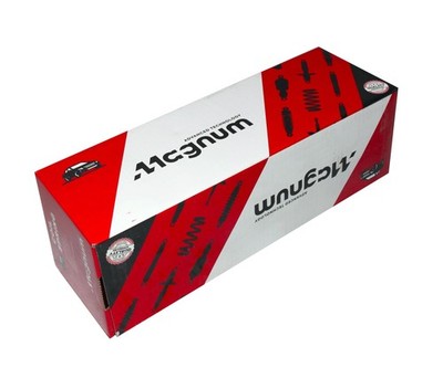 Aufhängungsfeder Hinterachse SG223 Magnum Technology