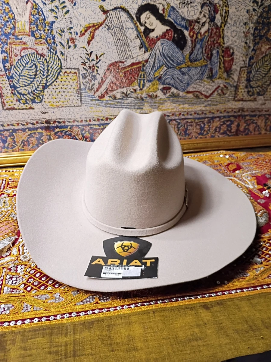 Cowboy Hat Silver Men's 7 1/4 Size for sale | eBay