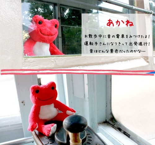 Frosch die Gurken Regenbogen Gurken Bohne Puppe Polyester 107275-17 usw. JAPAN NEU - Bild 27 von 118