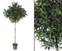 Oliven Kunstbaum Mit Runder Krone 100Cm Und Naturstamm, HöHe 200Cm Von Ibizanos