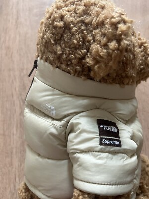 Supreme x The North Face Bear ベア　タン Supreme The North Face Bear- Tan | eBay