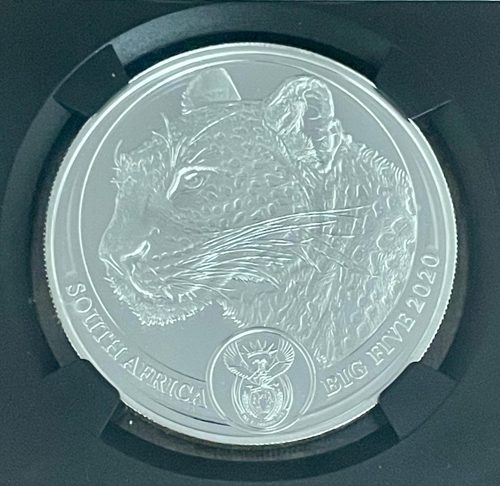 Picture 4 of 4