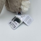 Photo 8/8