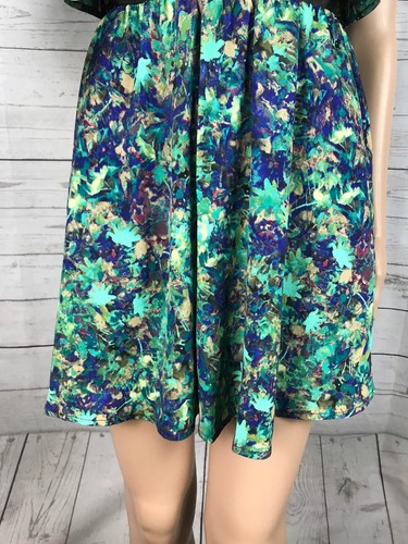 Princess Vera Wang Dress Size 0 Green Floral Ruffled Sheer Swiss Dot Waist XS - Picture 8 of 12