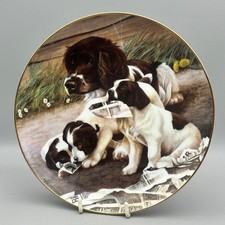 Franklin Mint Morning News Springer Spaniel Collectors Plate By Nigel Hemming