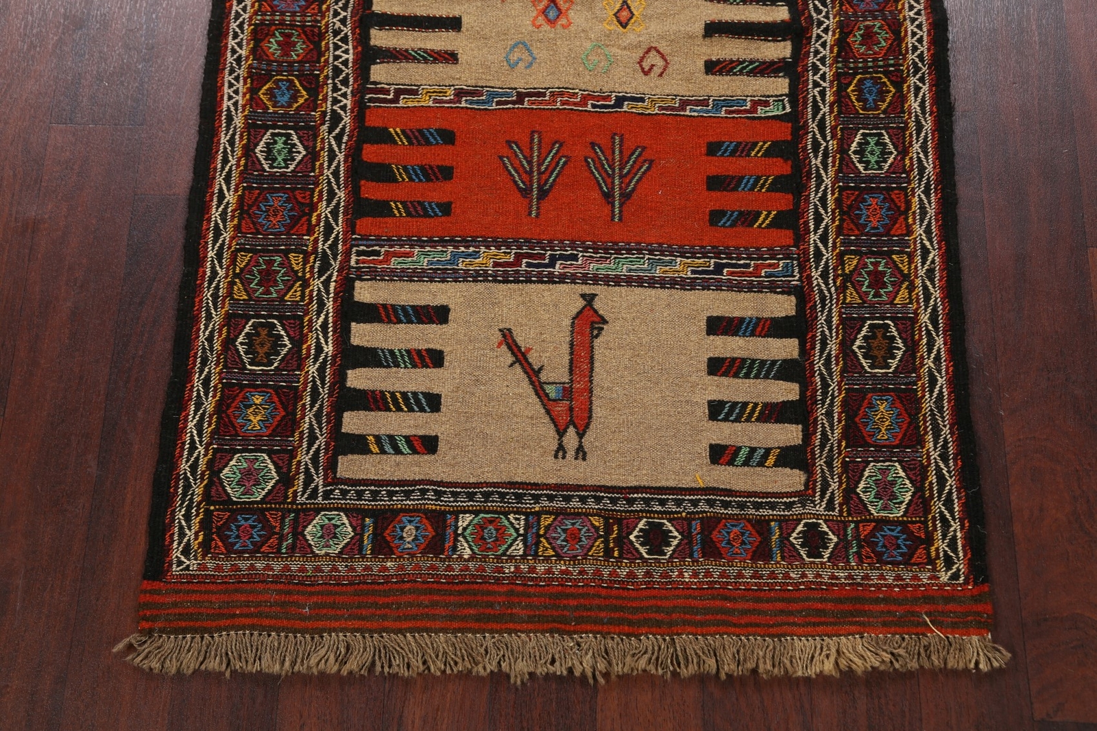 Picture 5 of 12