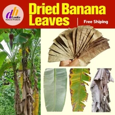 Banana Leaves Dried Fish Aquarium Care Pet Supplies Cleaning betta 1000 Pieces