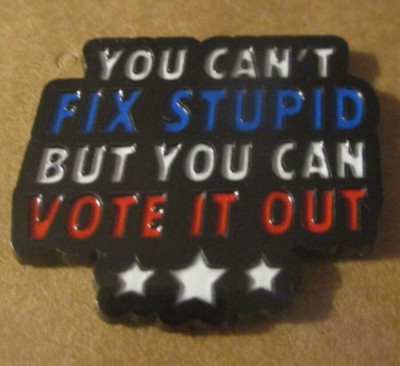 #P170 You Can't Fix Stupid but You Can Vote It Out Enamel Brooch Pin  Funny Pin