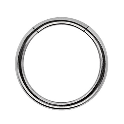 Titan Labbra Setto Orecchio Piercing Naso Segmento Click Anello Con Cerniera - Foto 3 di 6