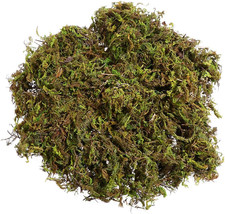 WINOMO Artificial Moss Fake Green Moss Decorative Fake Bulk for Plant Garden Law