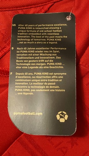 ITALY NATIONAL FOOTBALL TEAM 2009 L/S RED GOALKEEPER SHIRT PUMA BNWT ITALIA FIGC - Picture 6 of 9