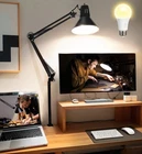 LED Desk Lamp With Clamp for Home Office, Eye-Caring Clip on Light with Adjus...