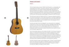 Guitar Tanglewood 12-string Model Tw40-12 Sdane & Case Normally £1028 Reduced.
