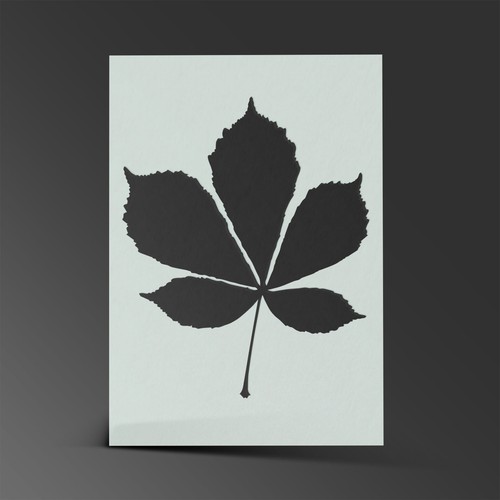 Blattschablone Blätter Herbst Mylar Blatt Malerei Wandkunst Handwerk 190 Mikrometer - Bild 2 von 16