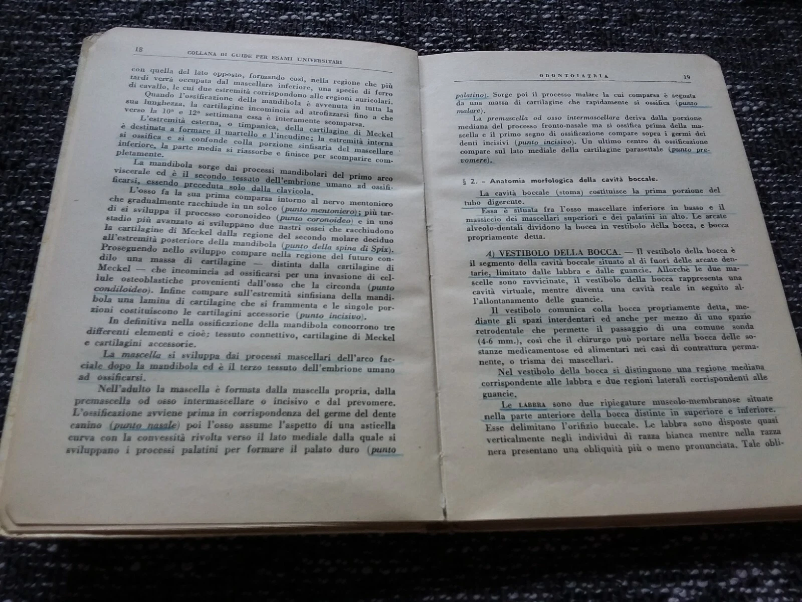 Bild 4 von 9