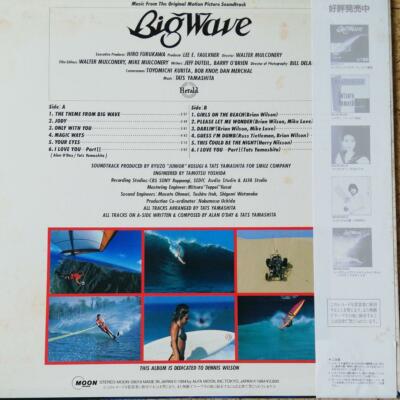 Tatsuro Yamashita / Big Wave 12