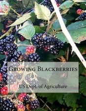 Growing Blackberries by Us Dept of Agriculture [Paperback]