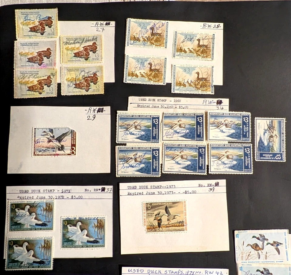 US Duck Stamps - Image 2 of 3