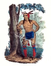 Kaa-nun-der-waaguinse-zoo  "Berry Picker" a Chippewa Chief - Historic Art Print
