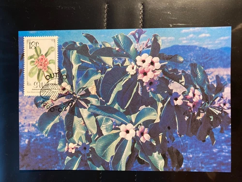 South West Africa 1990 Maximum Card 90 Flowers 18c Adenium boehmianum