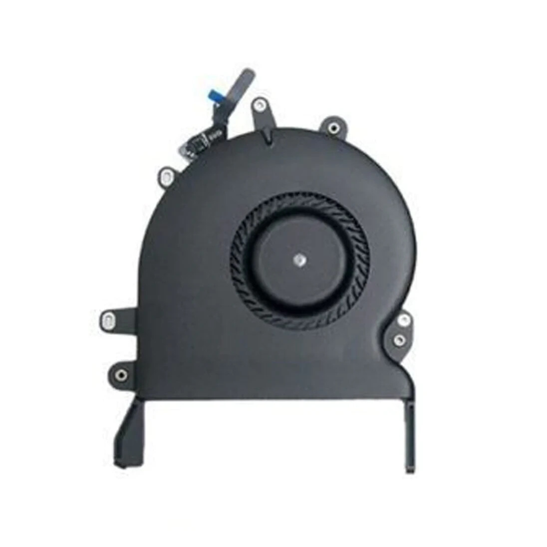 Picture 1