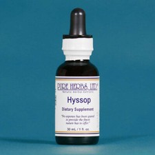Pure Herbs: Hyssop - 1 oz.