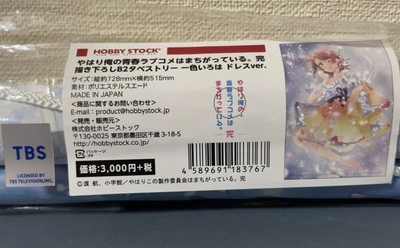 My Teen Romantic Comedy - SNAFU Iroha Isshiki wall scroll tapestry poster