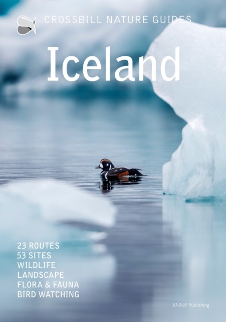 Iceland 45