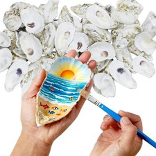 25pcs Concave Oyster Shells for Crafts 3"-4" Large Bulk for Home