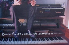 KELLEY STOLTZ POSTER, BELOW THE BRANCHES (Z4)     