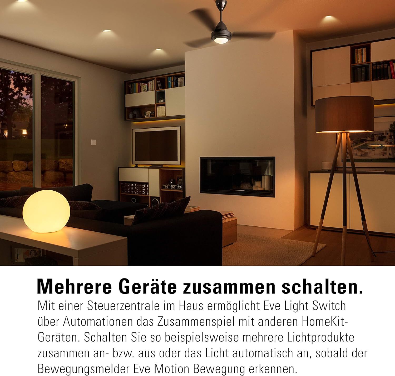 Bild 7 von 8