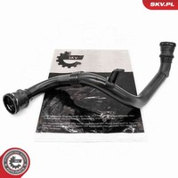 Esen SKV Ladeluftschlauch Turboschlauch FüR Renault Megane III SchräGheck 1.5