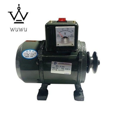 High Power Small Pulley Type Permanent Magnet Lighting Generator 3500W 220V