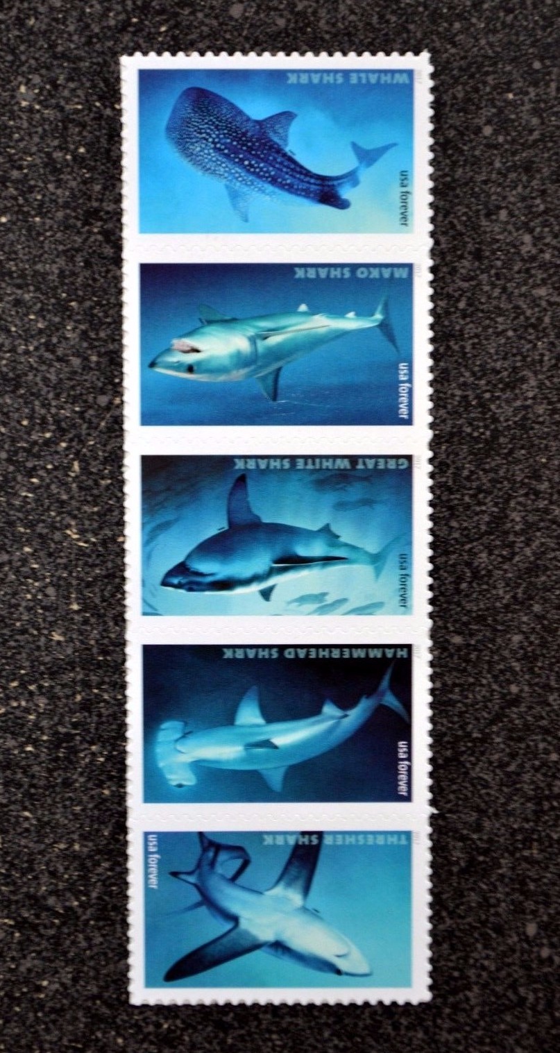 2017USA 52235227 Forever Sharks Strip of 5 Postage Stamps Mint shark eBay