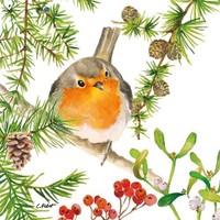 20 Servietten Robin In Tree - Rotkehlchen Auf Winterast 33X33Cm
