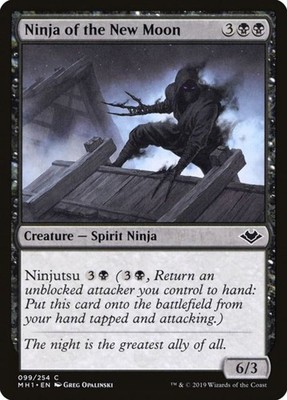 Ninja des Neumondes (99)