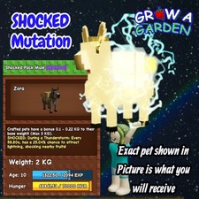 SHOCKED Pack Mule. Age/Weight Shown In Photo. Grow A Garden