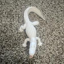 White Alligator/Crocodile Plastic Educational Toy Figure Ages 3-11 Years
